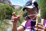 Avatar de thepolizons
