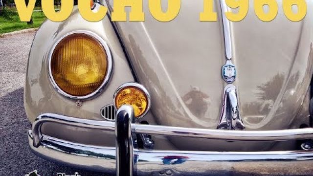 Vocho 1966